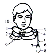 Air Neck Traction Details