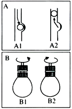 Air Neck Traction Valves